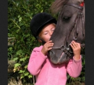  尊重马匹和骑手